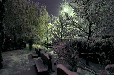 Прикрепленное изображение: DSC_0204_.jpg